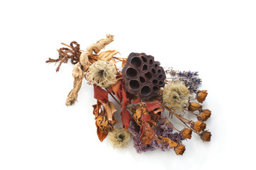 dry flowers on a white background