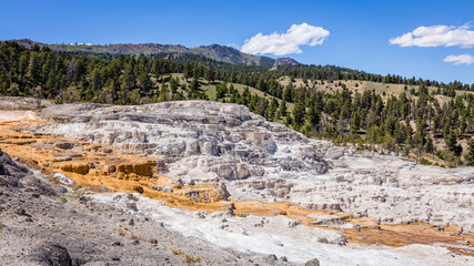 The walls look like steps because of volcanic hot eruption. White travertine terraces. Mammoth Hot Springs, Yellowstone National Park, Wyoming, USA