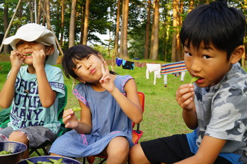 枝豆を食べる三兄弟　子どもたち　キャンプ　アウトドア　バーベキュー　夏休み