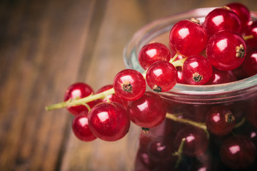 Detail bunch of red currants in a glass cup. Selective focus.
