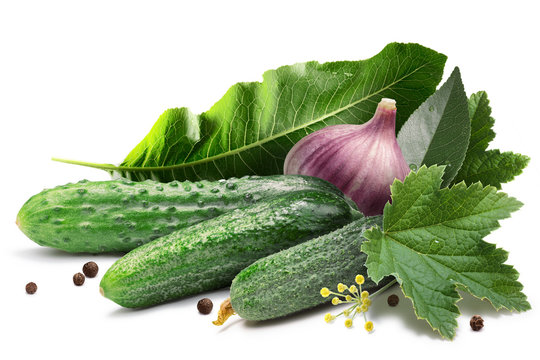 Gherkings for pickling, paths
