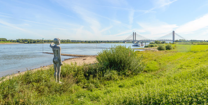 Floodplains of the Dutch river Waal near  Zaltbommel