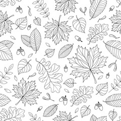 Autumn seamless pattern with seeds and leaves