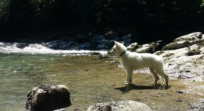 cascade