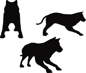 animal wolf silhouette