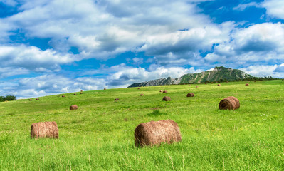 Hay bale on the beautiful meadow
