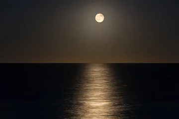 Fotobehang Moon over the ocean © sergiy1975