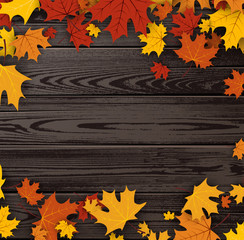 Wooden texture background with maple leaves.