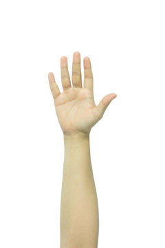Female woman hand isolated on the white