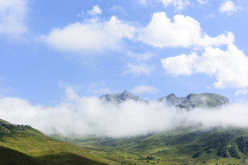 Fototapeta na wymiar beautiful nature on plateau under the fog at Trabzon province in Turkey