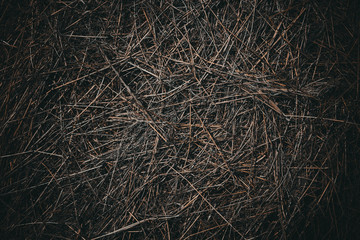 Dark dry grass close-up. The texture of the hay