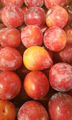 Large, Red Plums at a produce stand 