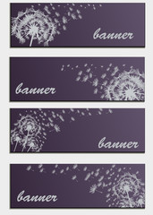 Fototapeta na wymiar Set of banners with flower dandelion sketch