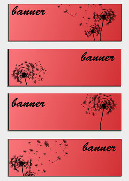 Set of banners with flower dandelion sketch