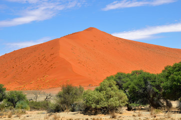 Dune 1. Sossusvlei, Namib Naukluft National Park, Namibia