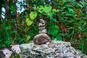 Closeup to Stack of Stone in Forest [Zen Concept]