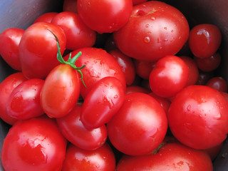 Помидоры