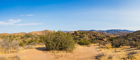 Fototapeta na wymiar Mojave Desert Panorama