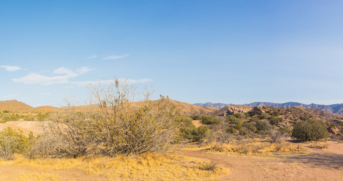 Expanse of Mojave Desert Wilderness