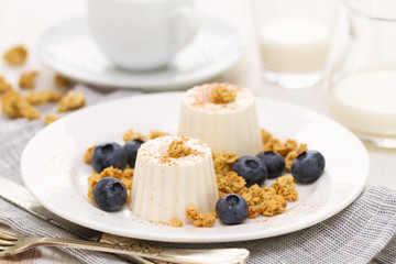fresh cheese with granola and blueberries on plate