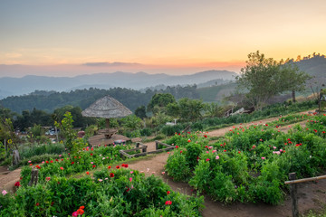 Fototapeta premium Landscape attractions sunset twilight beautiful at mon jam,chiang mai