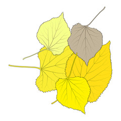 Leaves autumn background vector abstract illustration card