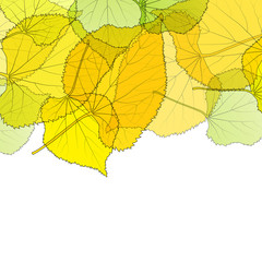 Fototapeta premium Leaves autumn background vector abstract illustration card