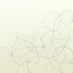 Leaves transparent background vintage illustration abstract vect