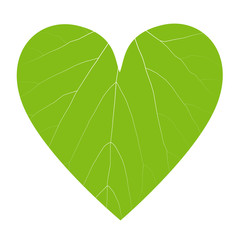Green leaf ecology background in heart shape vector environmenta