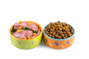 dry dog food and natural dog food in ceramic bowls isolated on white