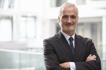 Head And Shoulders Portrait Of Mature Businessman In Office