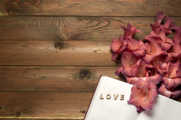 Open book on light table.