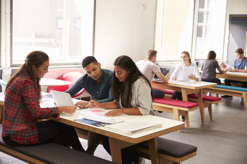 Obraz na płótnie Canvas Group Of University Students Working In Study Room