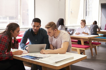 Group Of University Students Working In Study Room