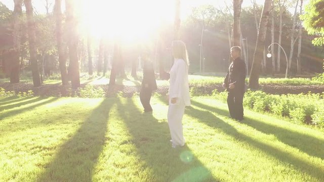 Training in the park. Workout. Group of four people practicing the elements of qigong. 4K