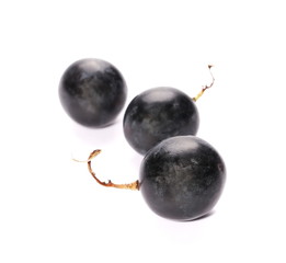 Black grape isolated on white background