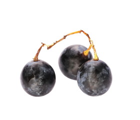 Black grape isolated on white background