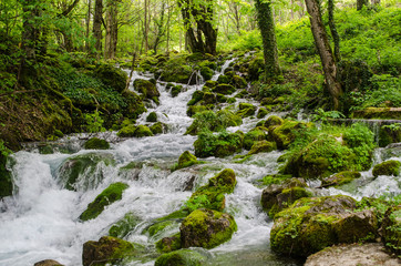 Obraz premium The mountain river in Montenegro