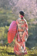 Woman and cherry blossoms of the Japanese kimono
