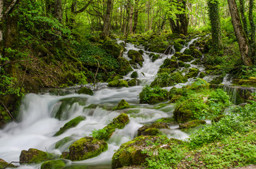Obraz premium The mountain river in Montenegro