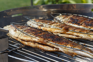 Trouts on charcoal bbq grill