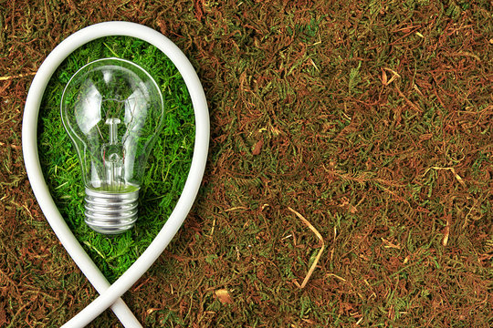 Green energy. Concept ecology. Light bulb on green natural moss with copy space