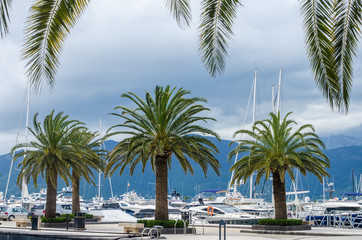 Fototapeta na wymiar Marina Porto Montenegro