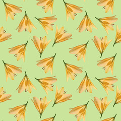 Seamless pattern with lily flowers. Floral background.