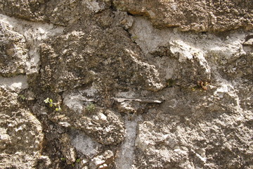 Mur en pierres
