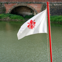 Red Iris - symbol of Florence