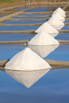Marais salant de Noirmoutier