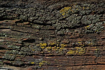 iHintergrund Holz / Brett / Planken alt und verwittert  Grunge Shabby