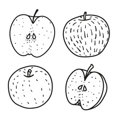Fototapeta premium Set of Fresh contour apple. Doodle style.