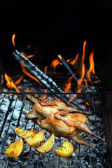 Grilling poultry quails and potato in a restaurant